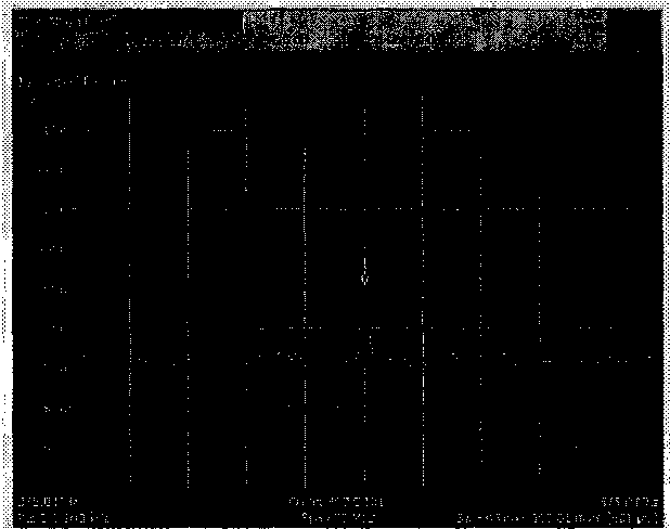 Руководство по эксплуатации. Анализаторы спектра N1996A AGILENT ТECHNOLOGIES. ОЕИ Аналитика
