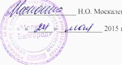 Методика поверки. Измерители параметров изоляции ,, ИПИ-10-Молния ,,. ОЕИ Аналитика