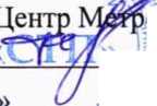 Методика поверки. ГСИ. Система измерительная массового расхода и массы воды поз. FQ-2951 АО