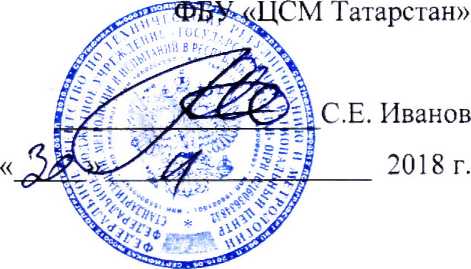 Инструкция. ГСИ. Счётчики газа бытовые ДТСГ. ОЕИ Аналитика