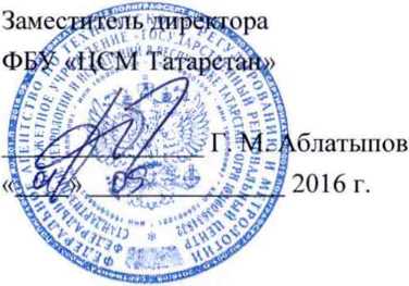 Методика поверки. Система автоматизированная информационно-измерительная коммерческого учета электроэнергии ОАО «Сетевая компания» ПЭС Пестречинского РЭС З. ОЕИ Аналитика