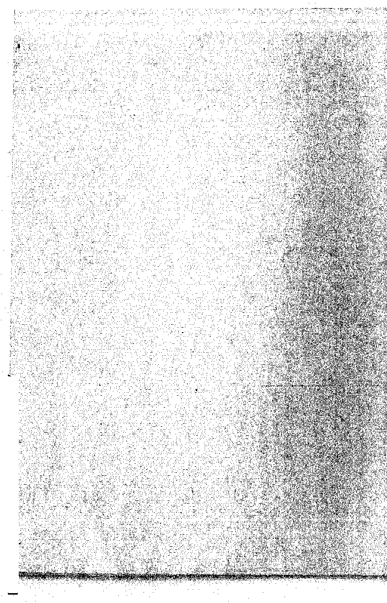 Руководство по эксплуатации. Милливольтметр B3-41. ОЕИ Аналитика