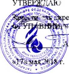 Инструкция. ГСИ. Расходомеры многофазные Pietro Fiorentini. ОЕИ Аналитика