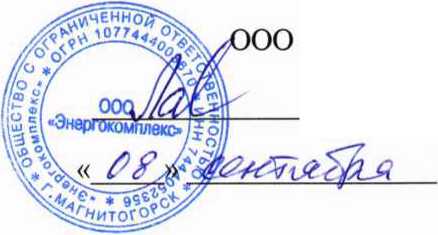 Методика поверки. СИСТЕМА АВТОМАТИЗИРОВАННАЯ ИНФОРМАЦИОННО-ИЗМЕРИТЕЛЬНАЯ КОММЕРЧЕСКОГО УЧЕТА ЭЛЕКТРОЭНЕРГИИ (АИИС КУЭ) ООО «РУСЭНЕРГОСБЫТ» ДЛЯ ЭНЕРГОСНАБЖЕНИЯ ПОТРЕБИТЕЛЯ ПАО «КАМАЗ». ОЕИ Аналитика
