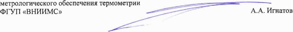 Методика поверки. ГСИ. Приборы многофункциональные для измерений параметров жидких металлов DIRC-6. ОЕИ Аналитика