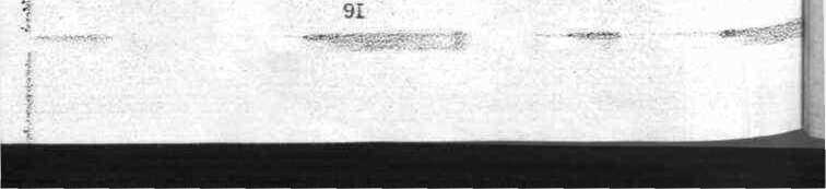 Методика поверки. МИ 1799-87. ОЕИ Аналитика