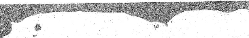 Паспорт. Прибор универсальный измерительный Р4833. ОЕИ Аналитика