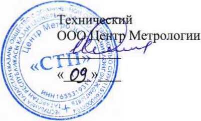 Методика поверки. Система измерительная массового расхода и массы фракции пипериленовой на стадии получения из изоамиленов и изопрена ИСФ ПАО