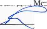 Методика поверки. ГСИ. Газоанализаторы ChemLogic 1 модели CL1 (МДИ). ОЕИ Аналитика