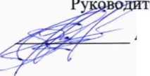 Методика поверки. ГСИ Системы мониторинга пациента во время магнитно-резонансной томографии Expression. ОЕИ Аналитика
