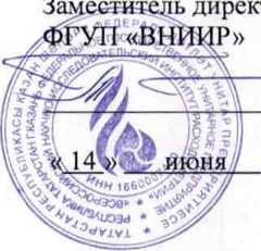 Методика поверки. ГСИ. Установки поверочные газодинамические ИРВИС-УПГ-М. ОЕИ Аналитика