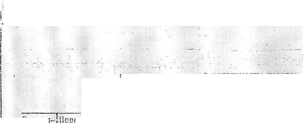 "Л111;Сц 1Г .; |
1 |
Изли. 1;Я1(. ?<j |
1 1J ’И 1 |
Hi'.uli'Cl. S |
: дота | |||||
■ |
* |
1. |
4 |
■■
![Методика поверки. Поверка лабораторной мерной стеклянной посуды и приборов. ОЕИ Аналитика