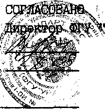 Описание типа. Гири общего назначения 4-го класса, комплект Г-4-1111, 10, Г-4-211,10, Г-4-111,10. ОЕИ Аналитика