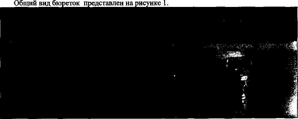Приказ Росстандарта №2067 от 30.12.2016, https://oei-analitika.ru