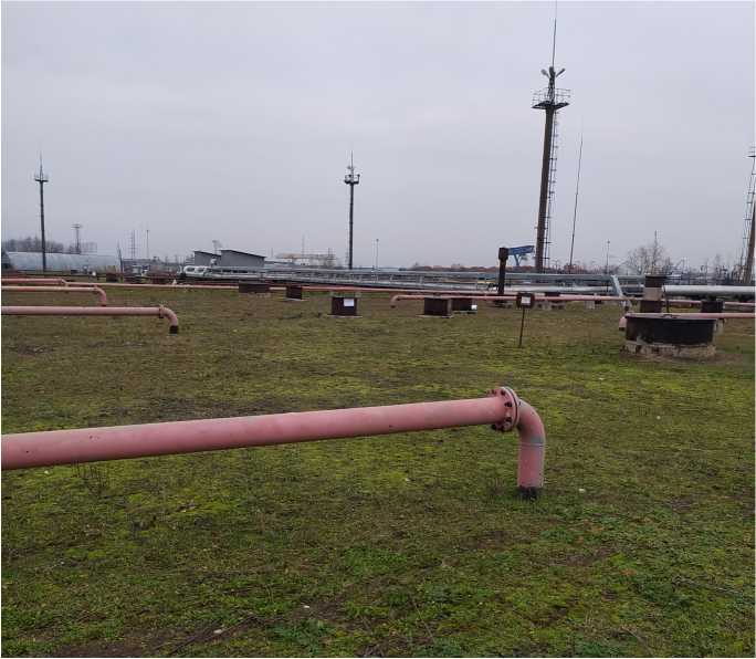 Приказ Росстандарта №770 от 25.03.2022, https://oei-analitika.ru