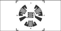 Приказ Росстандарта №1521 от 26.06.2024, https://oei-analitika.ru