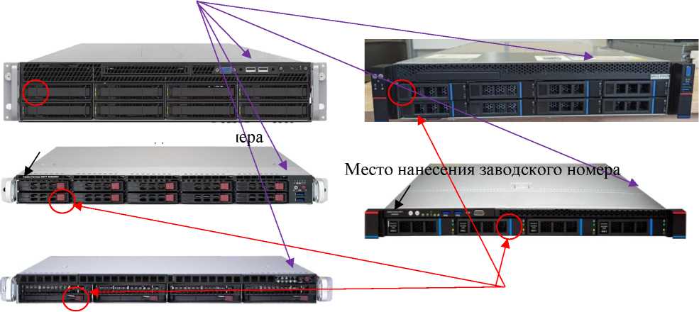 Приказ Росстандарта №293 от 13.02.2025, https://oei-analitika.ru