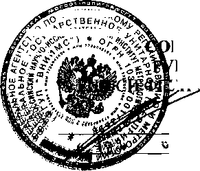 Внешний вид. Системы тепловизионные инфракрасные, http://oei-analitika.ru рисунок № 1