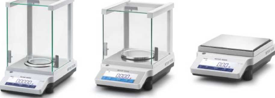 Внешний вид. Весы неавтоматического действия, http://oei-analitika.ru рисунок № 1