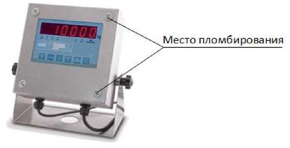 Внешний вид. Весы автомобильные (ПВТ), http://oei-analitika.ru