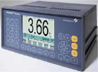 Внешний вид. Весы вагонные, http://oei-analitika.ru рисунок № 3