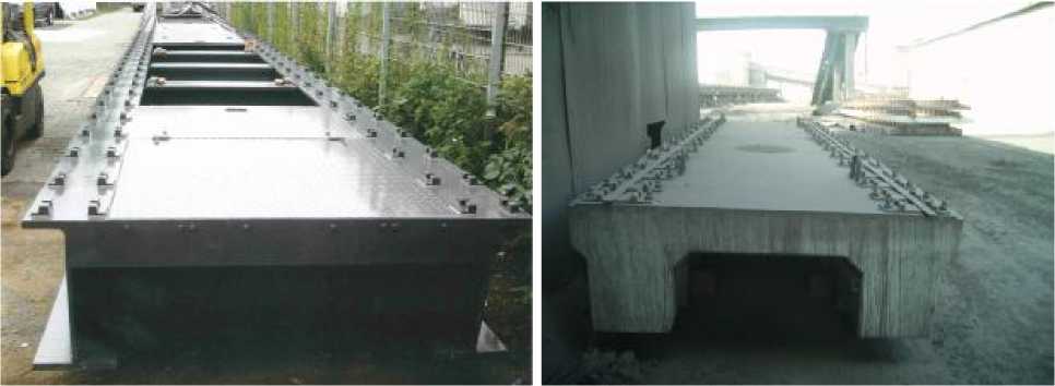 Внешний вид. Весы вагонные, http://oei-analitika.ru рисунок № 5