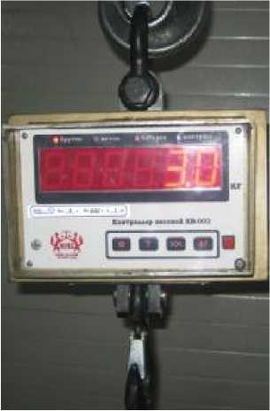 Внешний вид. Весы крановые электронные, http://oei-analitika.ru рисунок № 1