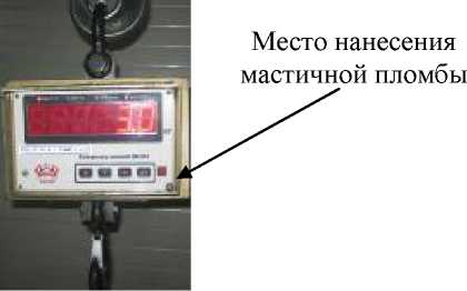 Внешний вид. Весы крановые электронные, http://oei-analitika.ru рисунок № 2