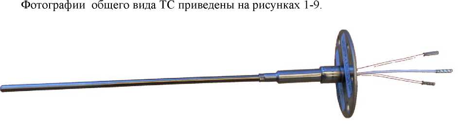 Внешний вид. Термопреобразователи сопротивления, http://oei-analitika.ru рисунок № 1