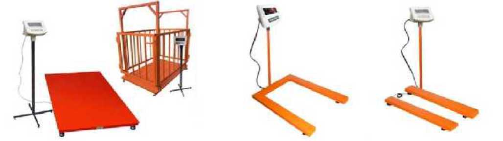 Внешний вид. Весы платформенные электронные, http://oei-analitika.ru рисунок № 1