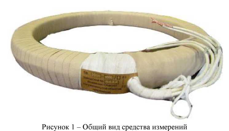 Внешний вид. Трансформаторы тока, http://oei-analitika.ru рисунок № 1