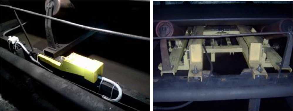 Внешний вид. Весы конвейерные, http://oei-analitika.ru рисунок № 1