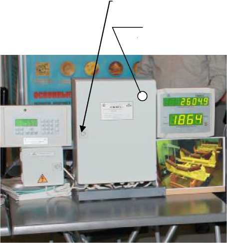 Внешний вид. Весы конвейерные, http://oei-analitika.ru рисунок № 2
