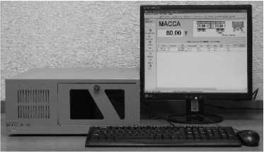 Внешний вид. Весы вагонные, http://oei-analitika.ru рисунок № 7