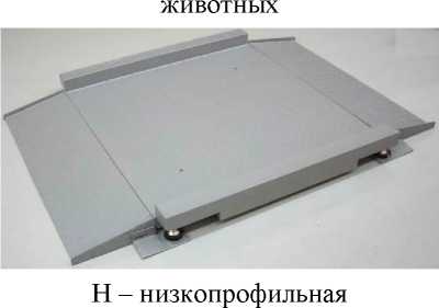 Внешний вид. Весы платформенные (ЕВ), http://oei-analitika.ru