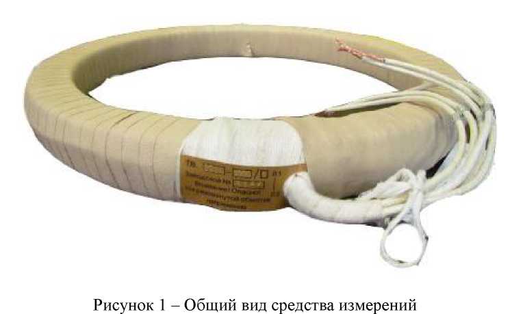 Внешний вид. Трансформаторы тока, http://oei-analitika.ru рисунок № 1