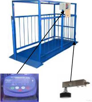 Внешний вид. Весы платформенные электронные, http://oei-analitika.ru рисунок № 2