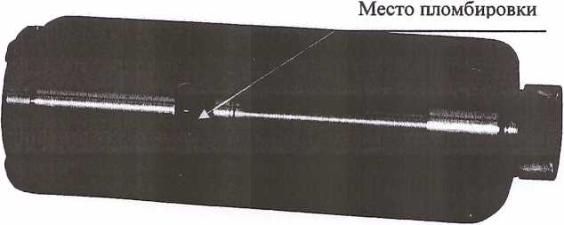 Внешний вид. Зонды измерительные, http://oei-analitika.ru рисунок № 1