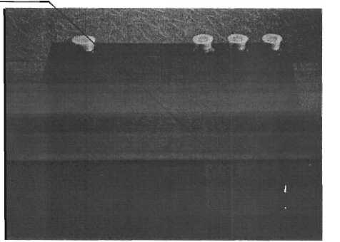 Внешний вид. Каналы измерительные контрольно-проверочной аппаратуры 