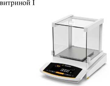 Внешний вид. Весы неавтоматического действия, http://oei-analitika.ru рисунок № 7