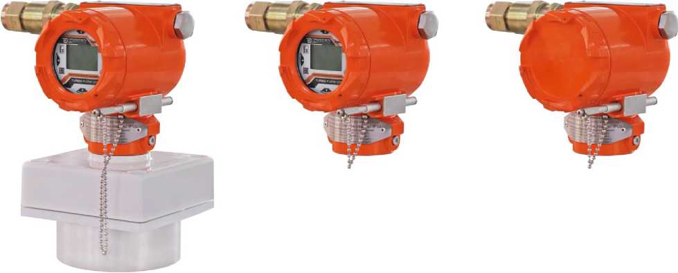 Внешний вид. Счетчики-расходомеры массовые, http://oei-analitika.ru рисунок № 2