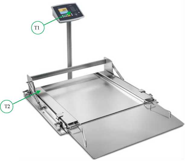 Внешний вид. Весы напольные высокоточные взрывозащищённые, http://oei-analitika.ru рисунок № 2