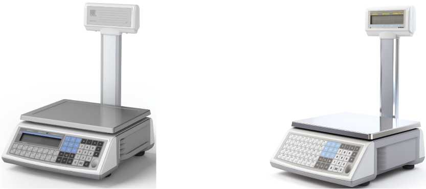 Внешний вид. Весы, http://oei-analitika.ru рисунок № 3