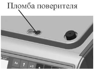 Внешний вид. Весы, http://oei-analitika.ru рисунок № 5