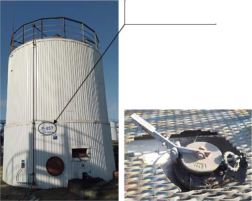 Внешний вид. Резервуары стальные вертикальные цилиндрические, http://oei-analitika.ru рисунок № 3