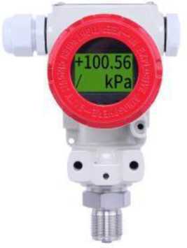 Внешний вид. Преобразователи давления измерительные, http://oei-analitika.ru рисунок № 9