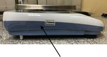 Внешний вид. Весы неавтоматического действия, http://oei-analitika.ru рисунок № 3