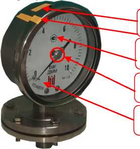 Внешний вид. Манометры мембранные, http://oei-analitika.ru рисунок № 1