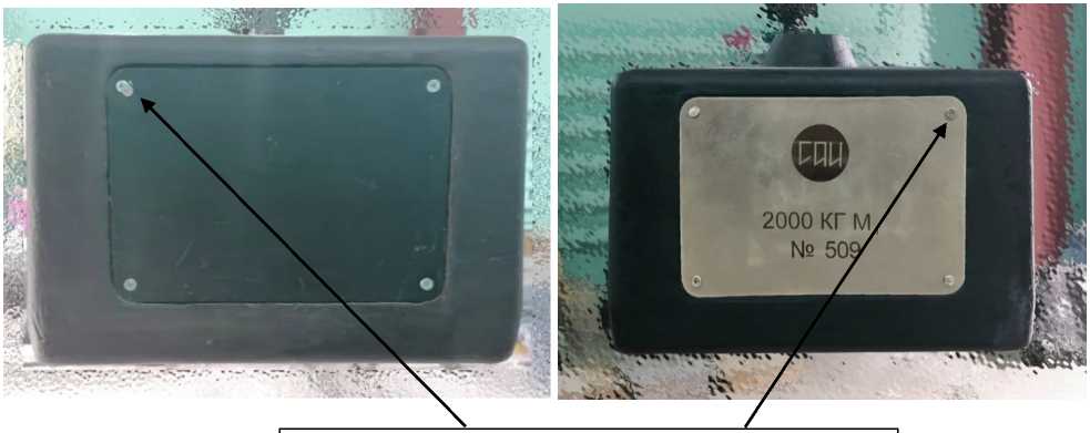 Внешний вид. Гири 2000 М1, http://oei-analitika.ru рисунок № 2