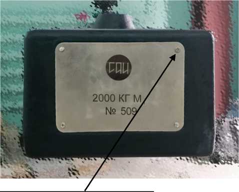 Внешний вид. Гири 2000 М1, http://oei-analitika.ru рисунок № 3